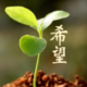 十一年